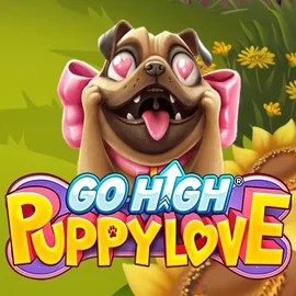 Go High Puppy Love casino game by RubyPlay – featured logo at Casina Casino
