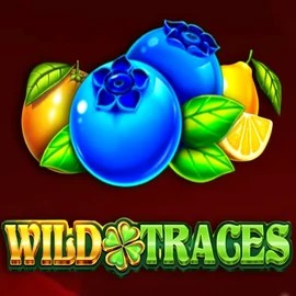 Wild Traces – slot by Amusnet Interactive, featured at casinacasinoo.eu